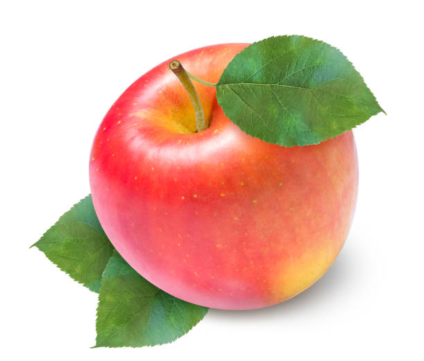 Apple Fuji Each