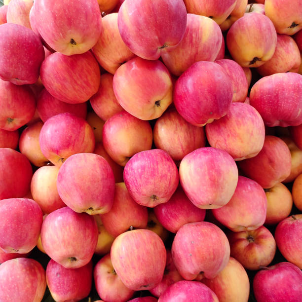 Apples Pink Lady 1kg