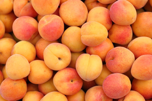 Apricots 1kg