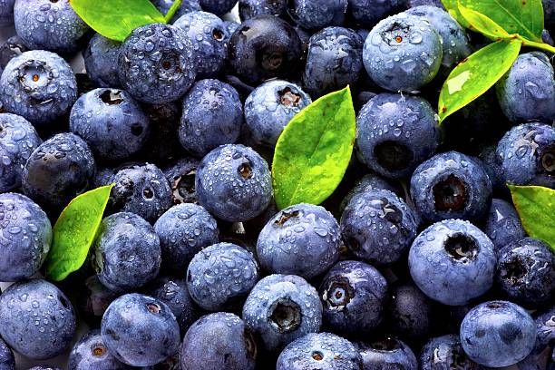 Blueberries 125g
