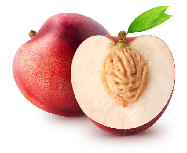 Nectarine White Each