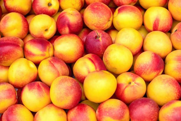 Nectarine Yellow 1kg