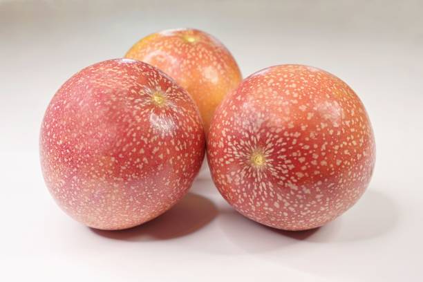 Passion Fruit Panama Each