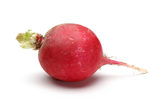 Radish Bunch