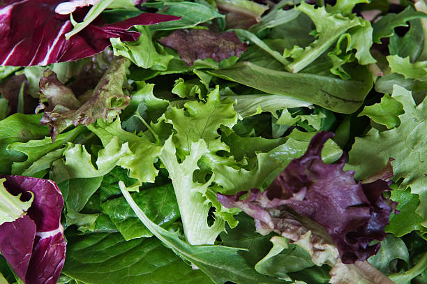 Mixed Leaves 100g