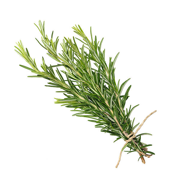 Rosemary Bunch